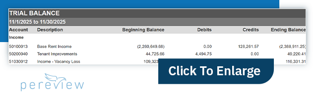 Trial Balance Enlarge
